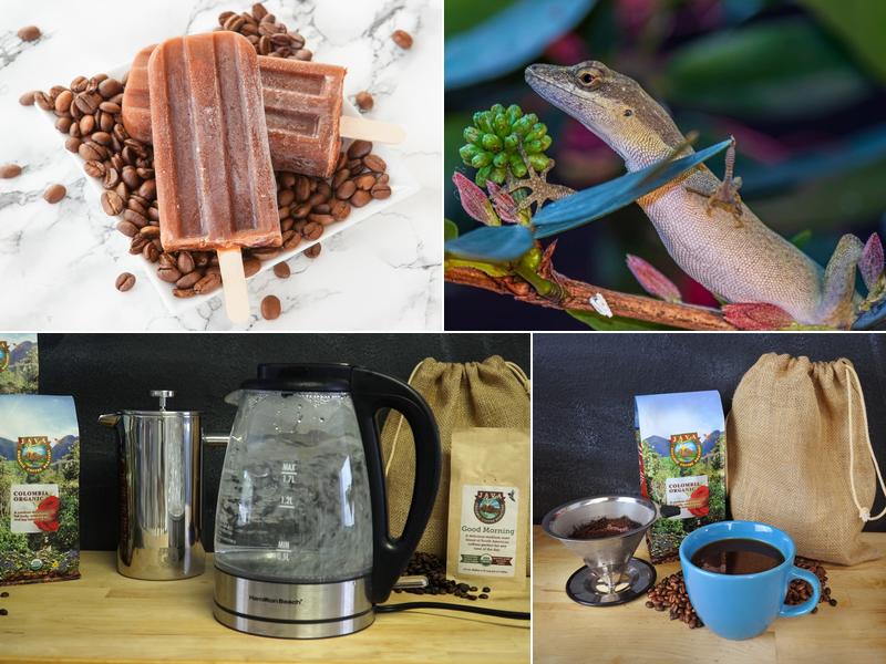 Java Planet Organic Coffee Roasters