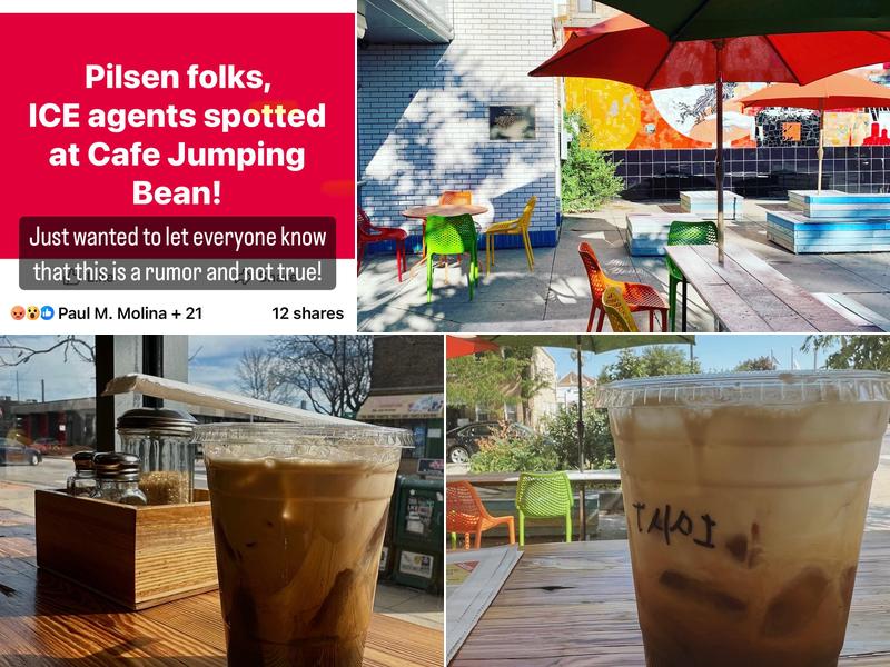 'L' Cafecito Jumping Bean