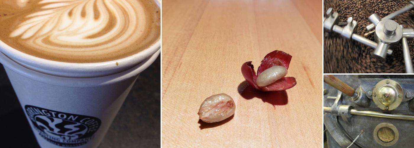 Barrington Coffee Roasting Company