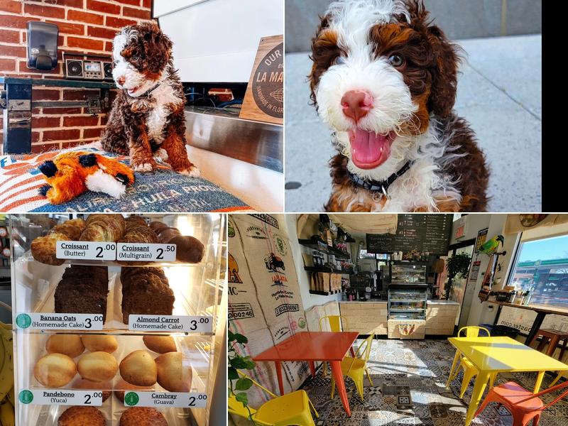 Pueblo Querido Coffee Roasters Café de Colombia