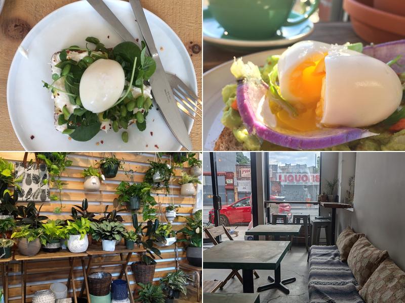 Stonefruit Espresso + Kitchen