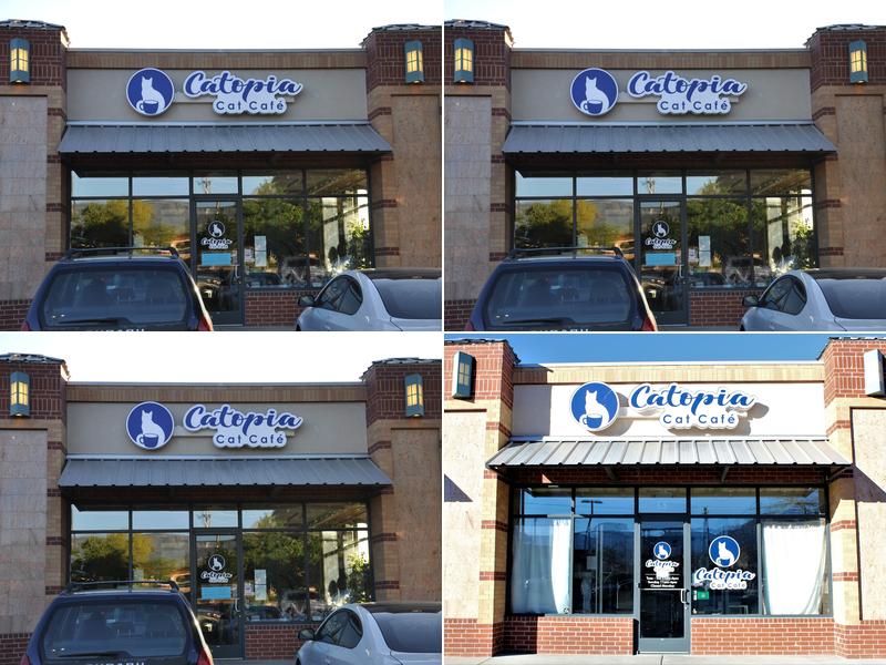 Catopia Cat Cafe 8001 Wyoming Blvd NE suite c-5, Albuquerque