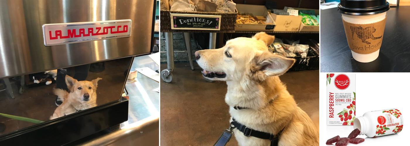 Java Hound Coffee Bar