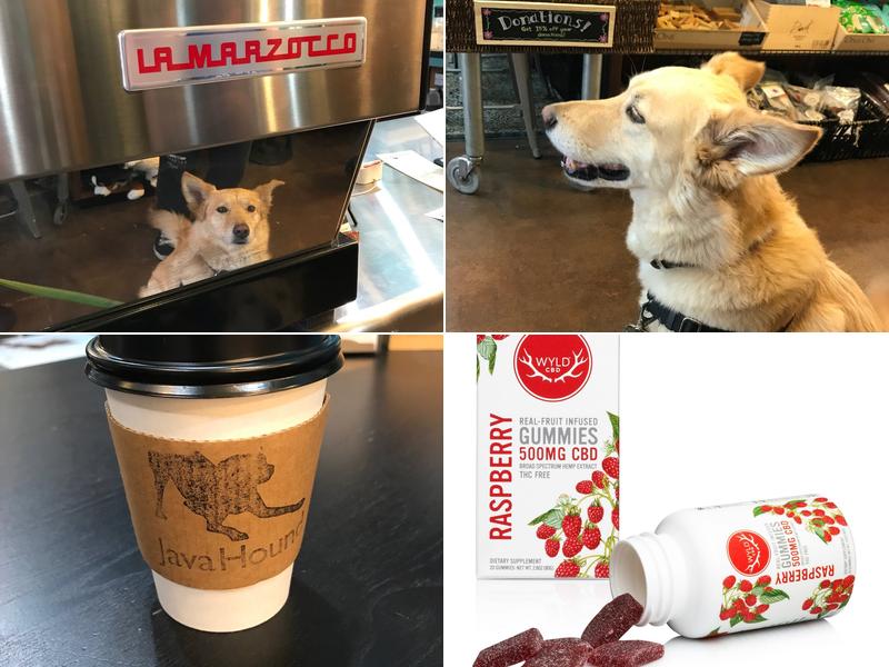 Java Hound Coffee Bar