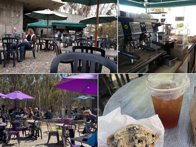 Art of Espresso Mandeville Center, 9500 Gilman Dr, La Jolla
