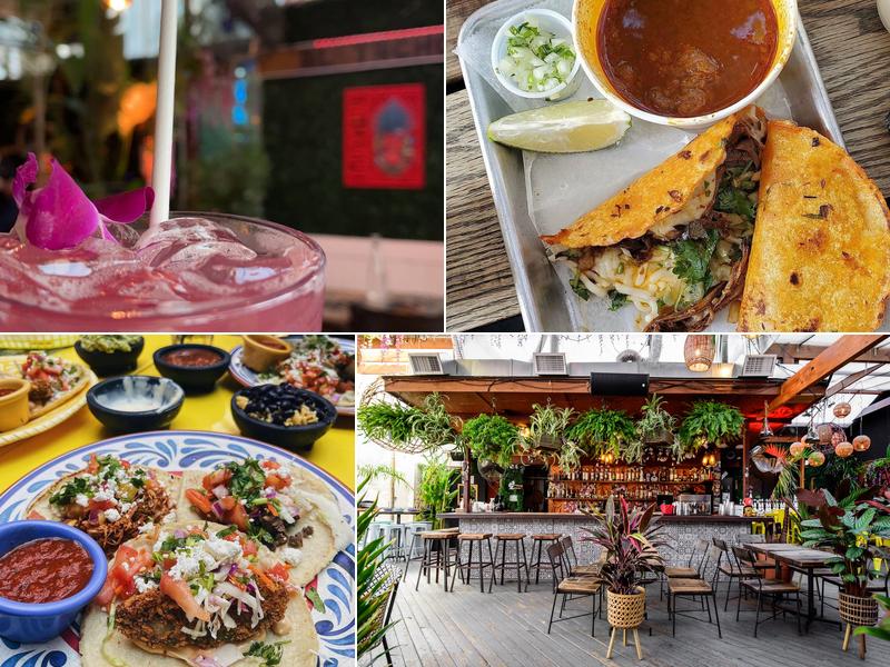 El Techo 606 Florida Ave NW #1853, Washington