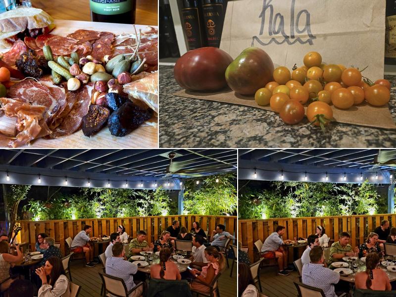 Plonk! Bistro & Wine Cellar