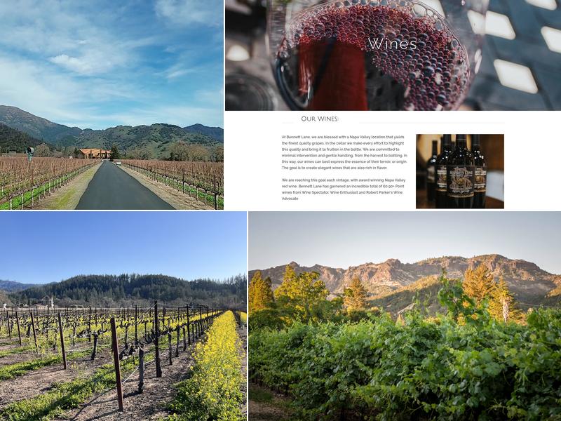 Bennett Lane Winery 3340 CA-128, Calistoga
