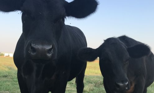 Six Bar Ranch 3729 Catlett Rd, Pleasant Grove California 95668