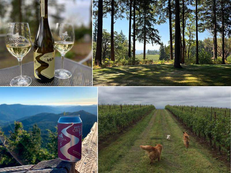 Campbell Lane Winery