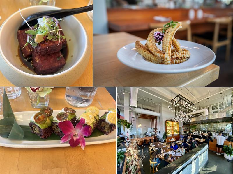 The Yasai: Vegan Japanese Experience at Little Italy