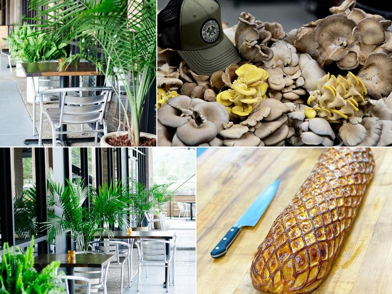 The Anvil Pub and Grill