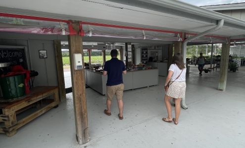 Lewis Strawberry Nursery & Farm