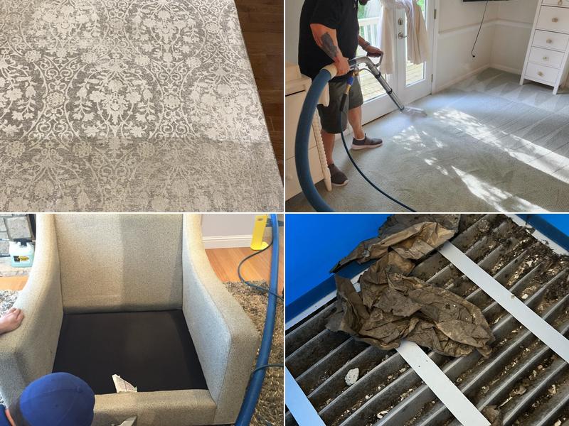 Precise Carpet Cleaning