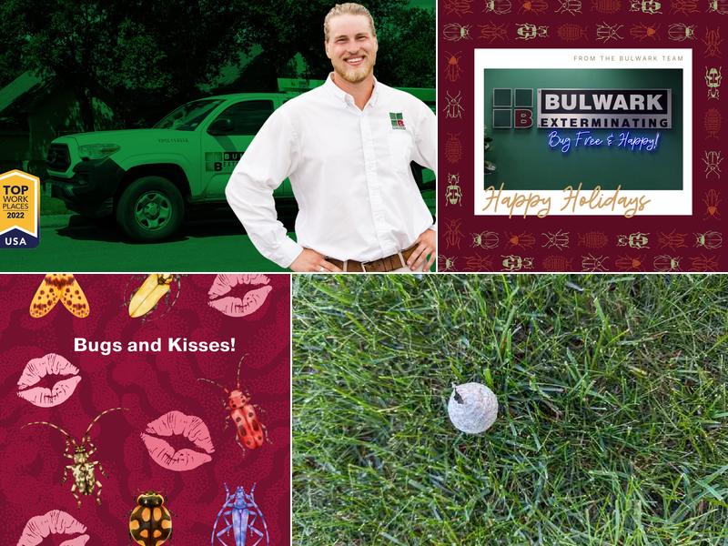 Bulwark Exterminating