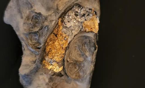 Jazzy Jewels Wichita Falls TX Wichita Falls