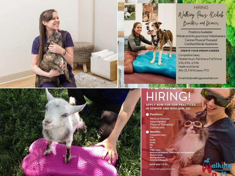 Walking Paws Rehab