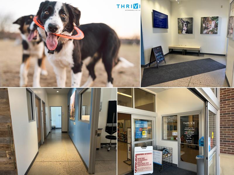 Vetco Total Care Animal Hospital