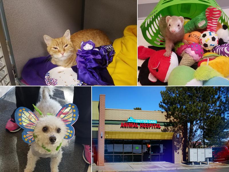 Critter Care Animal Hospital