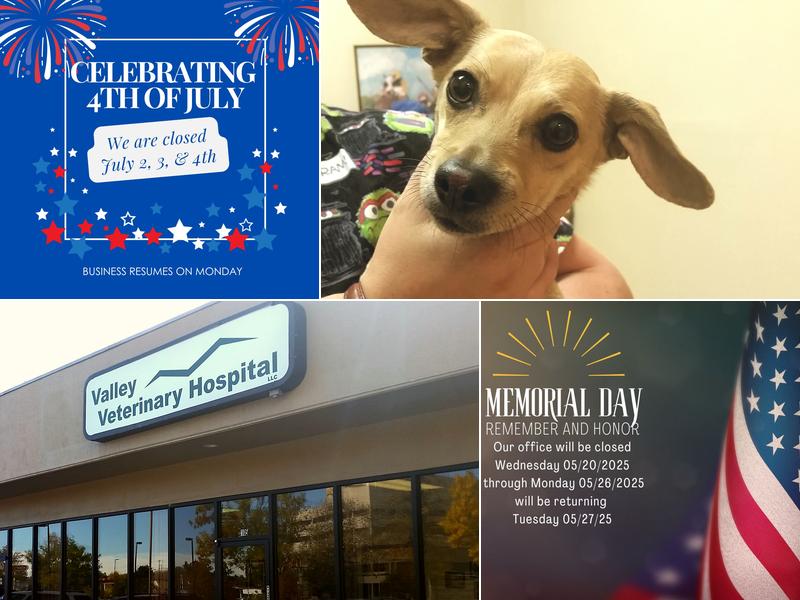 Valley Veterinary Hospital