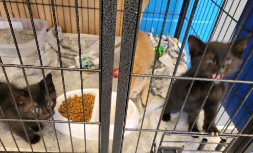 Montgomery Humane Society