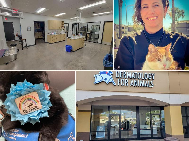 Dermatology for Animals Goodyear