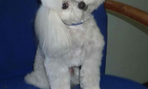 Pro-Groom 1924 E Arrowhead Ave, Flagstaff Arizona 86004