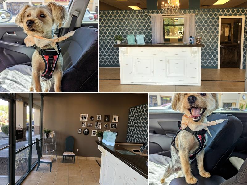 Primp and Proper Dog Grooming