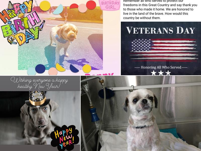 Michelle's Personal Touch