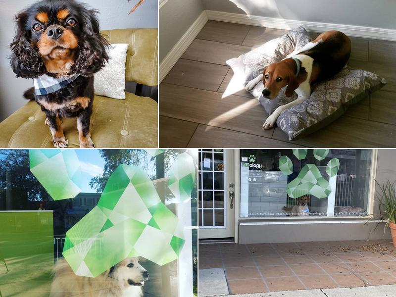 Furology Pet Grooming