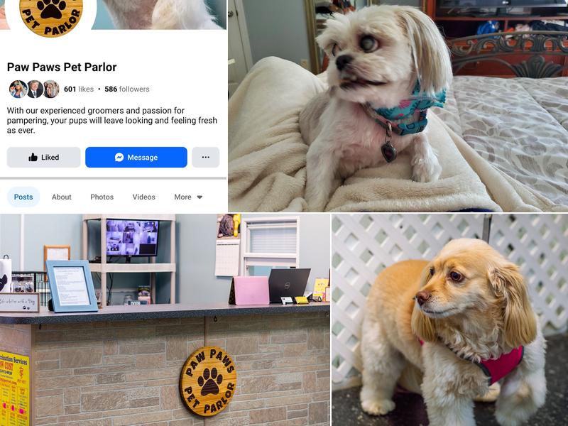 Paw Paw's Pet Parlor