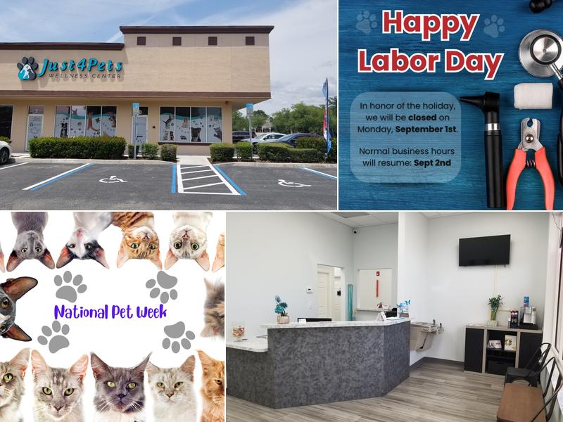 Just 4 Pets Wellness Center