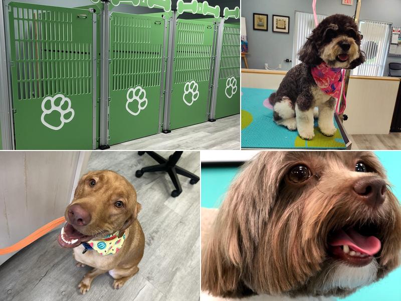 Pampered Paws Pet Spa LLC