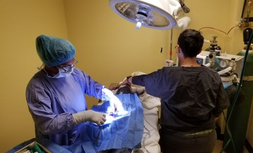 Tender Hearts Animal Hospital