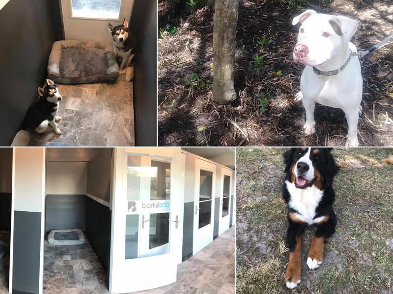 barksbnb