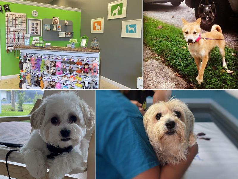 Four Paws Salon & Spa