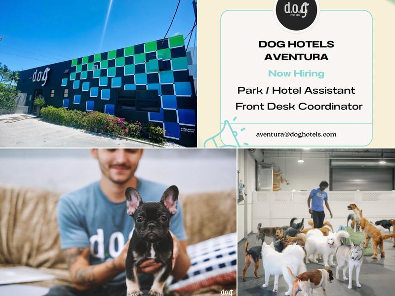 D.O.G. HOTELS - Aventura