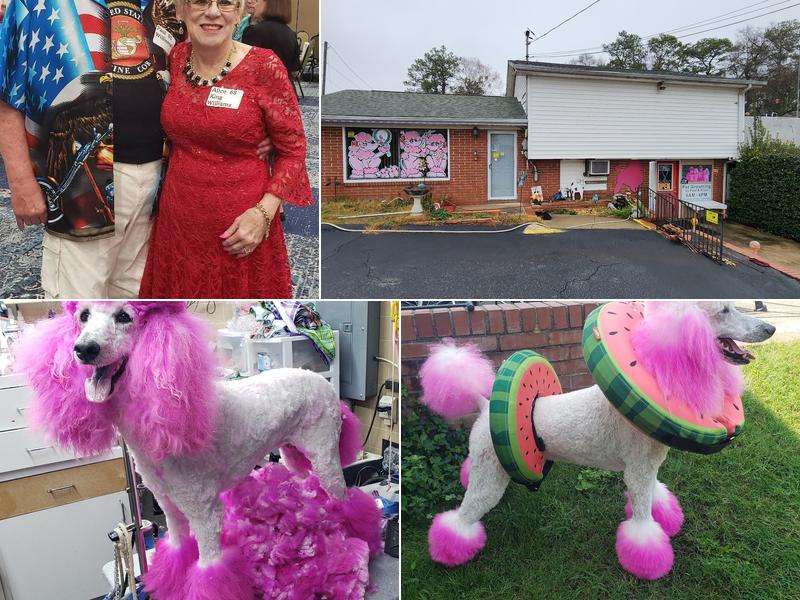 Pet Grooming by Paul and Alice