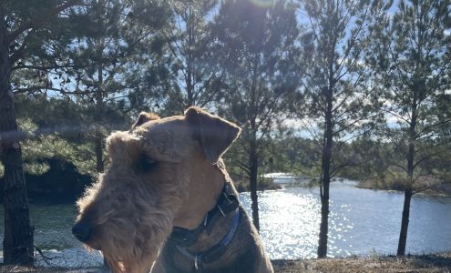 Veterinary Specialists Of The Southeast