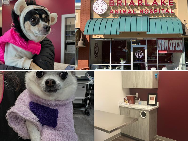 Briarlake Animal Hospital