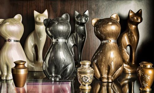 Heavenly Paws Pet Aquamation