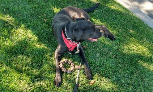 Twin Falls Humane Society