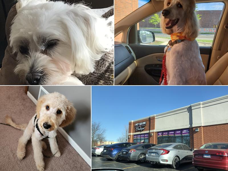 PurrFurred Pet Styling - Aurora