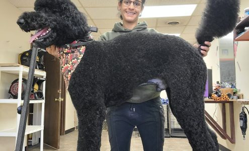 Bones n Combs Dog Grooming 140 Wildwood Dr, Mt Zion Illinois 62549