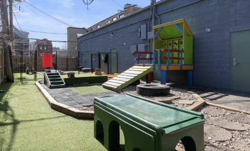 Rockstar Pets Chicago