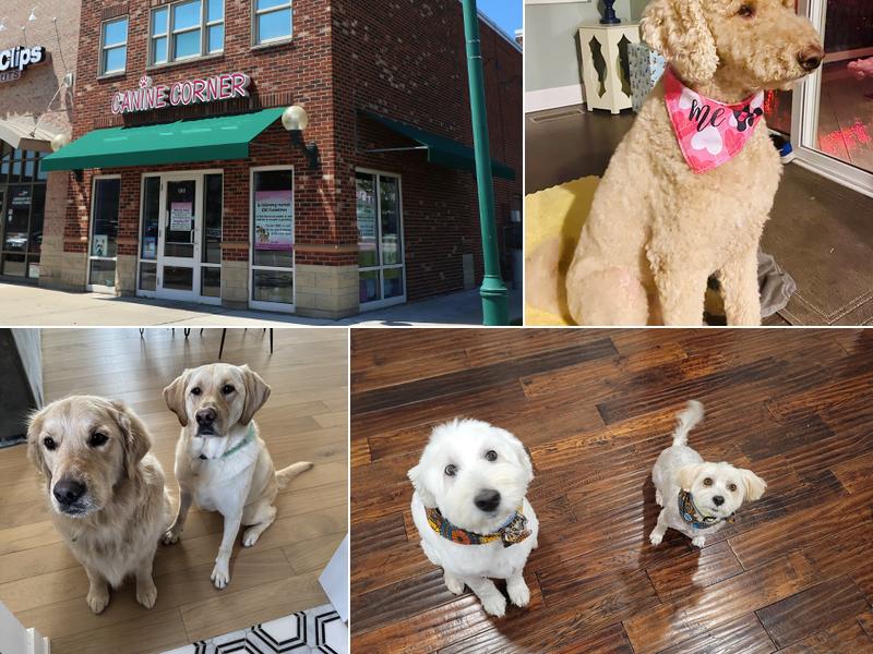 Canine Corner - Woodridge, IL