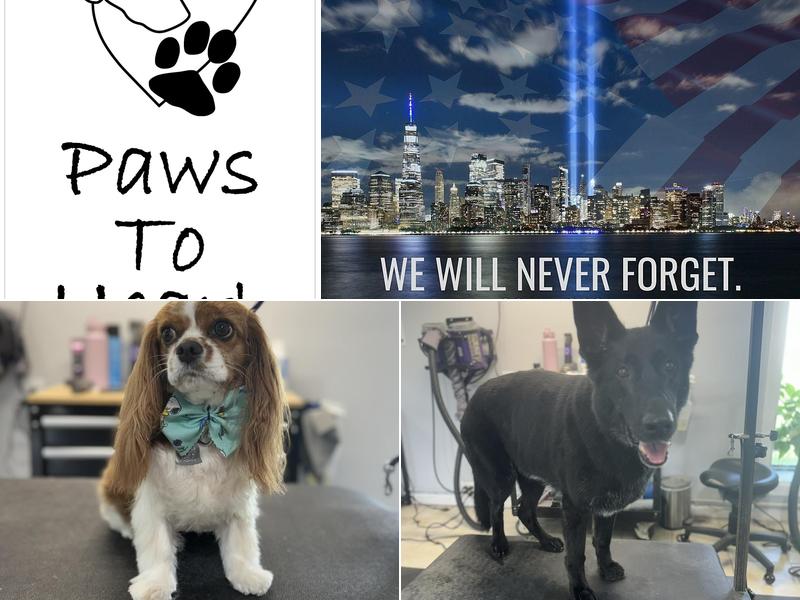 Paws To Heart, Dog Grooming