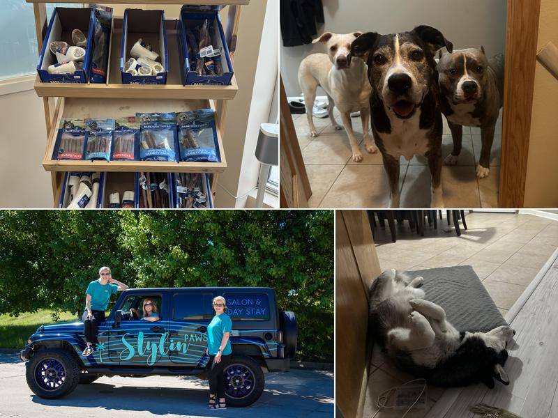 Pawz N Klawz Pet Grooming