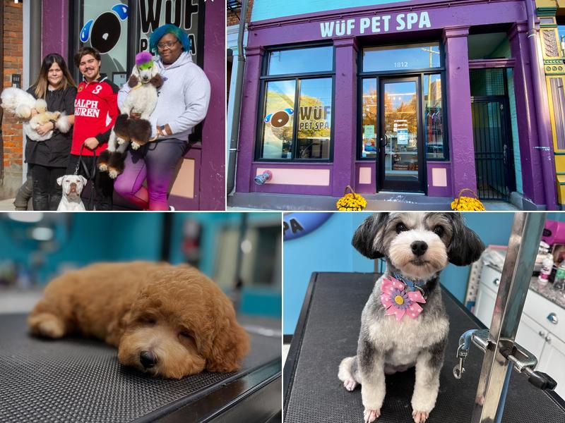 Wüf Pet Spa OTR