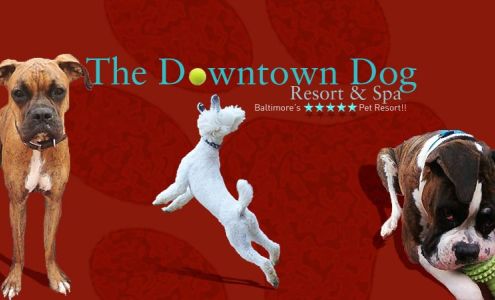 Downtown Dog Resort & Spa